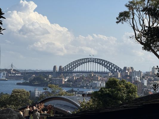 Sydney Harbour Bridge by null