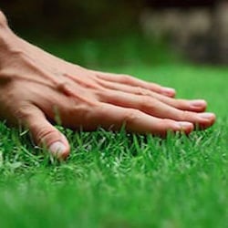 Cedar Creek Landscaping