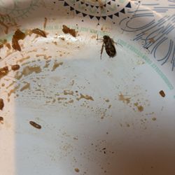 Mee King Garden