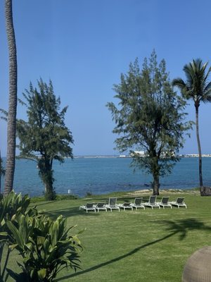 Maui Beach Hotel by null