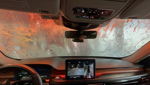 Elephant Car Wash by null