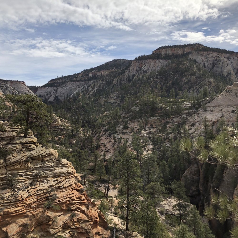 Observation Point - Hiking Near Me - Springdale, Utah Observation Point - Hiking Near Me - Springdale, Utah