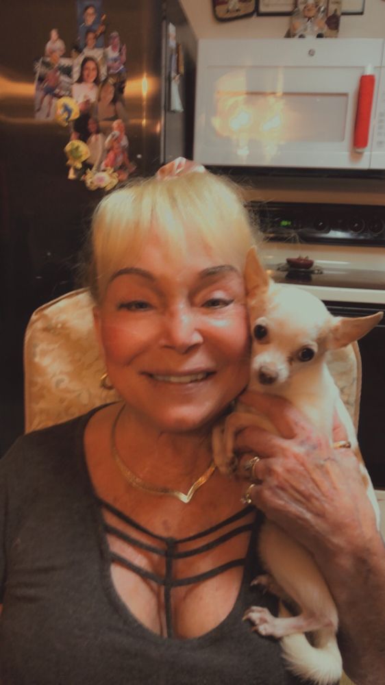 HEIDI’S GROOMING AND BOARDING 7609 Old Centreville Rd, Manassas, Virginia Pet Sitting