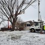 Photo of ArborVantage Tree Care