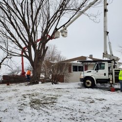 ArborVantage Tree Care - Full-service tree care is our specialty.