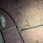 Photo of Plumb Crazy Plumbing