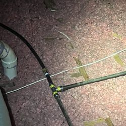 Plumb Crazy Plumbing
