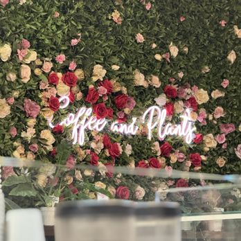 Coffee and Plants - Coffee & Tea Near Me - Pasadena, California Coffee and Plants - Coffee & Tea Near Me - Pasadena, California