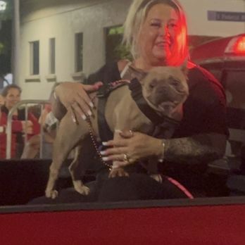 Watch Your Paws - This was self and Miss Mia in the 2025 Boca Raton Christmas parade - Pet Sitting Near Me Watch Your Paws - This was self and Miss Mia in the 2025 Boca Raton Christmas parade - Pet Sitting Near Me