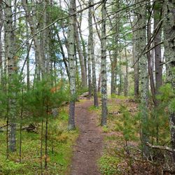 Ephraim Hunt Ministerial Land