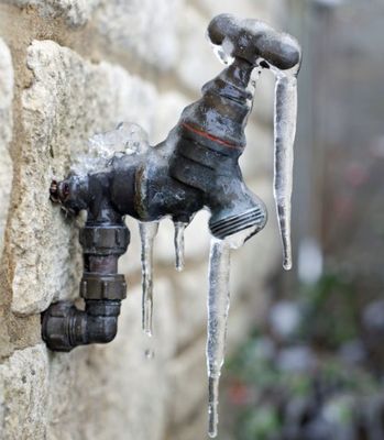 Flow King Rooter Logo