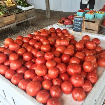 Cullipher Farm - Farmers Market Near Me - Virginia Beach, Virginia Cullipher Farm - Farmers Market Near Me - Virginia Beach, Virginia