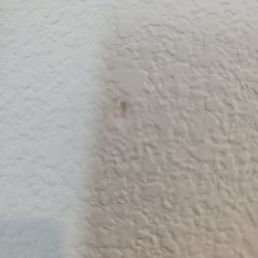 More damage to walls from reckless handling More damage to walls from reckless handling