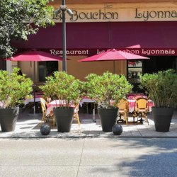 Le Bouchon Lyonnais - Notre établissement