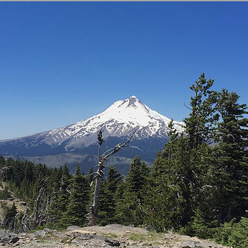 Explore The Gorge - Mt. Hood Tour - Airport Shuttles Near Me - Hood River, Oregon Explore The Gorge - Mt. Hood Tour - Airport Shuttles Near Me - Hood River, Oregon