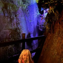 Shanklin Chine - The waterfall lit up