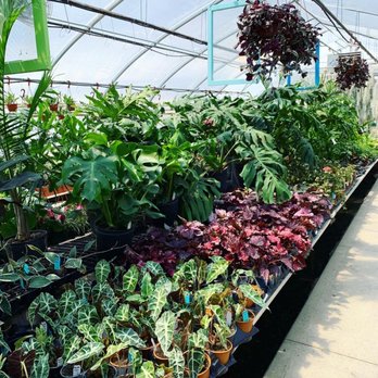 Groovy Plants Ranch - Nurseries & Gardening Near Me - Marengo, Ohio