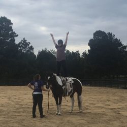 Keystone Equine Entertainment & Training