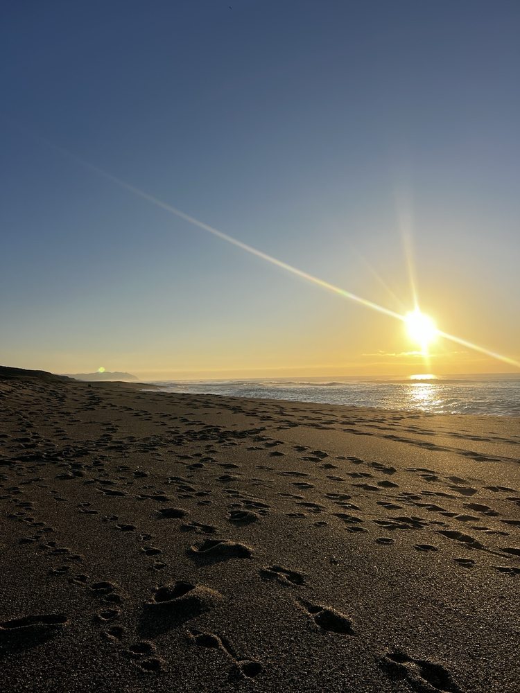 Point Reyes Beach North Logo