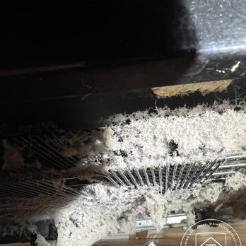 Proactive Appliance Maintenance - Dirty Refrigerator Condenser Coil - Heating & Air Conditioning/HVAC Near Me Proactive Appliance Maintenance - Dirty Refrigerator Condenser Coil - Heating & Air Conditioning/HVAC Near Me