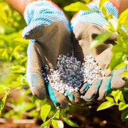 Vista Landscaping - Vista Landscaping