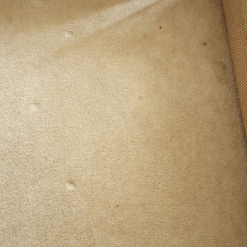 OC Carpet Cleaning Pro - before - Carpet Cleaning Near Me