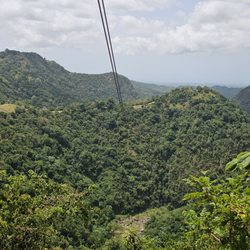 Toroverde