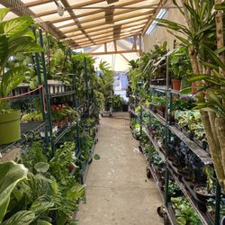 Plant Me