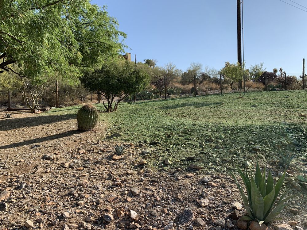 AZ BEST WEED CONTROL 39 Photos Tucson, Arizona Pest Control Phone Number Yelp