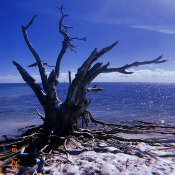 Anne’s Beach - The beach - Beaches Near Me
