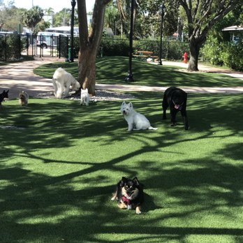 Fit & Go Pets - Dog Walkers Near Me - Miami, Florida Fit & Go Pets - Dog Walkers Near Me - Miami, Florida
