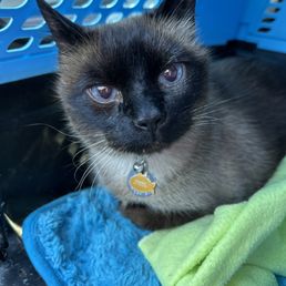 Frankie wasn't feeling very well, but the doctor and staff helped him out and hopefully we are on the mend. Frankie wasn't feeling very well, but the doctor and staff helped him out and hopefully we are on the mend.