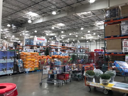 costco by null