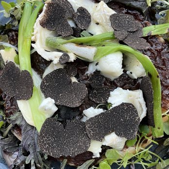 Darwin Brasserie - Brasseries Near Me - London, XGL