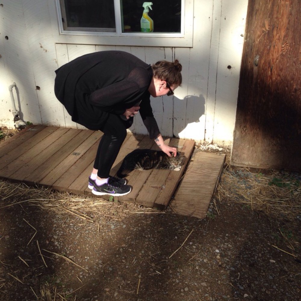 Deer Hollow Farm - Kat meets the Farm cat! - Kids Activities Near Me - Cupertino, California