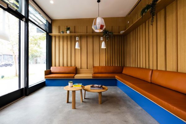 Modern Animal by null