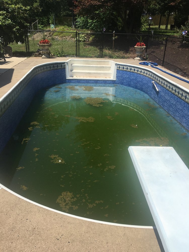 WILKES POOLS AND SPASSERVICE Updated July 2024 11 Photos 5228