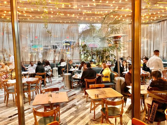 Bottega Louie WEHO by null