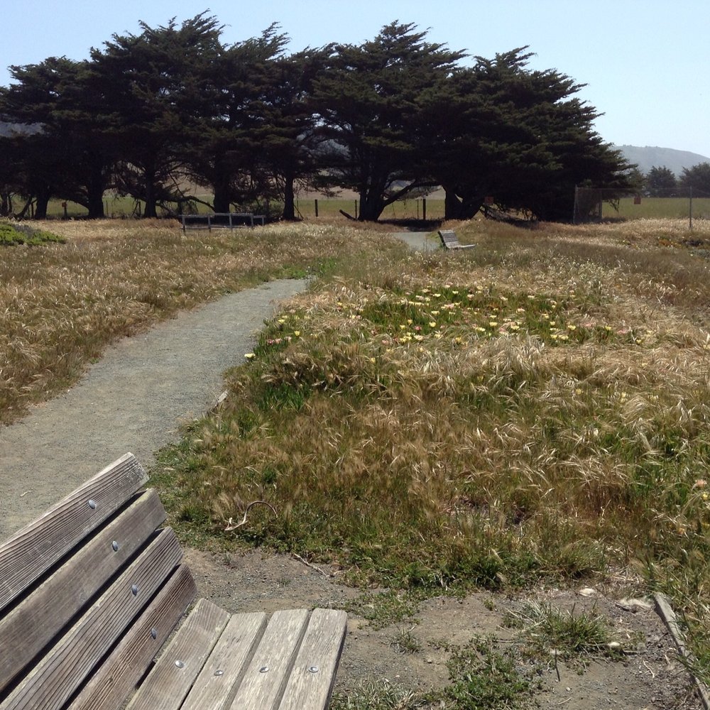 One of three benches overlooking ocean. One of three benches overlooking ocean.