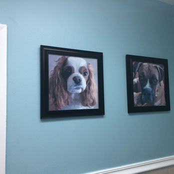 Westwood Veterinary Clinic - Veterinarians Near Me - Miami, Florida