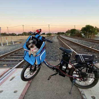 Velo Trap - Weekend ready. Thanks Velo Trap - Bike Repair/Maintenance Near Me - Sacramento, California Velo Trap - Weekend ready. Thanks Velo Trap - Bike Repair/Maintenance Near Me - Sacramento, California