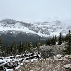 Helen Lake Trail - A distant view of Bow Lake across the way from this Helen Lake Trail.
