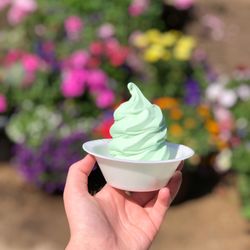 Timberlea Drive In - Pistachio custard!