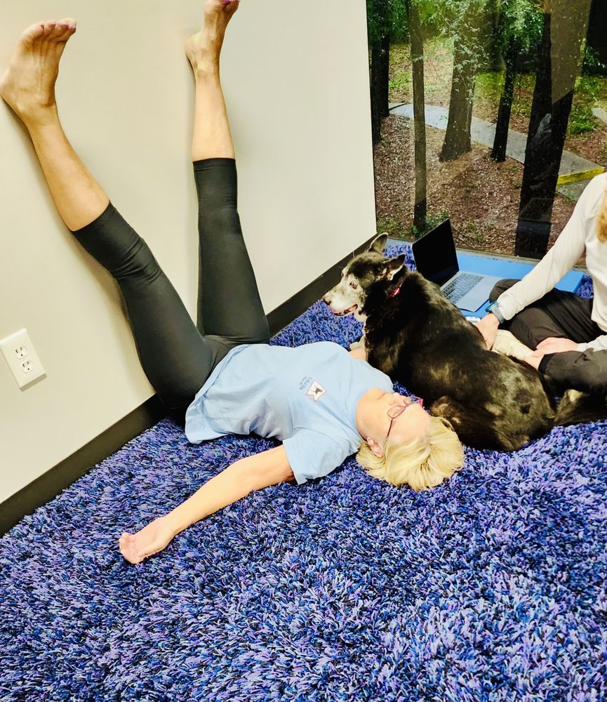 PAIN FREE POSTURE CLINIC - Updated December 2024 - 50 Photos - 2060 N Lp W, Houston, Texas