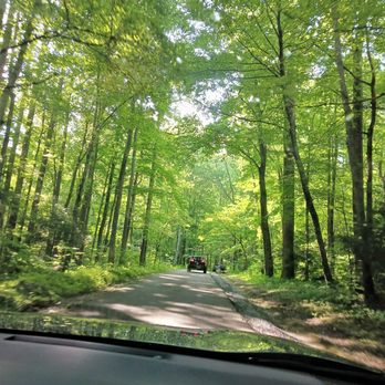 Roaring Fork Motor Nature Trail - Hiking Near Me