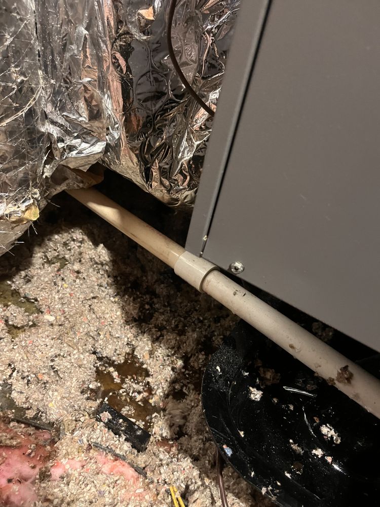 Slide of Boston Standard Company