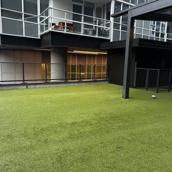 Level Seattle - South Lake Union - Outdoor doggie area - Residences Near Me - Seattle, Washington Level Seattle - South Lake Union - Outdoor doggie area - Residences Near Me - Seattle, Washington