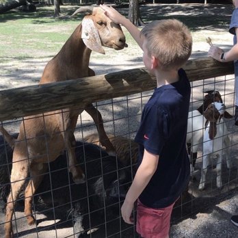 Alabama Safari Park - Zoos Near Me - Hope Hull, Alabama