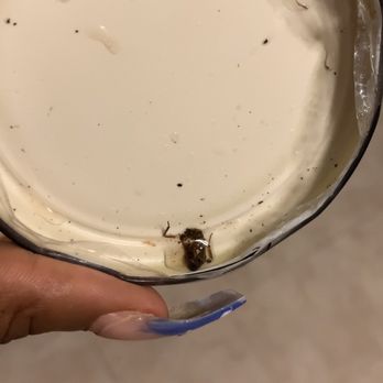 National Wholesale Liquidators - Dead bugs in the top of jar purchased from national wholesale liquidators. Disgusting !!!! - Discount Store Near Me - Brooklyn, New York National Wholesale Liquidators - Dead bugs in the top of jar purchased from national wholesale liquidators. Disgusting !!!! - Discount Store Near Me - Brooklyn, New York