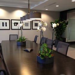 Plant Care Interiorscapes